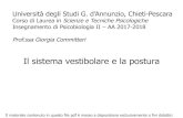Università degli Studi G. d’Annunzio, Chieti-Pescara · Il sistema vestibolare e la postura Il materiale contenuto in questo file pdf è messo a disposizione esclusivamente a fini