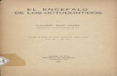 EL ENCEFALO - Memoria Chilena: Portal · 2017-03-15 · Apartadodel Bojetindel MuseoNacionalde HistoriaNatural TcmoXIX —Arto 1941. EL ENCEFALO DE LOS OCTODONTIDOS PerGUILLERMOMANNFISCHER