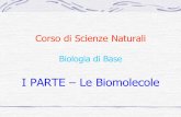 I PARTE – Le Biomolecole - Libero.it · Corso di Scienze Naturali - Biologia di Base · Crescita e Sviluppo: gli esseri viventi sono in grado, grazie al metabolismo e l’assunzione