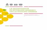 ... â€¢ 4 * Indice Presentazione Regione Umbria Fernanda Cecchini 3A - Parco Tecnologico Agroalimentare