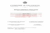 COMUNE di SALUGGIA · REGIONE PIEMONTE PROVINCIA di VERCELLI REGOLAMENTO EDILIZIO (Art. 3 comma 3 della LR n. 19/1999) Approvato con Deliberazione di Consiglio Comunale n.15 del 06/03/2009