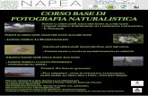 locandina A3 - napea – Associazioni per il Presidio e l’Educazione … · 2018-04-05 · laguna photografica corso di fotografia naturalistica legambiente riviera del brenta vas