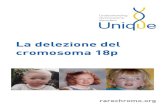 La delezione del cromosoma 18p - Italia ONLUSagemo18.com/wp-content/uploads/2016/12/Originale_cromosoma-18p.pdfpagina seguente) e un braccio lungo (q)(la parte inferiore del cromosoma).