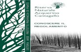 Riserva Naturale Acquerino Cantagallo · Acquerino Cantagallo La conservazione di un ambiente naturale di grande valore come quello della Riserva Naturale di Acquerino-Cantagallo