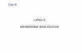 Cap.8 LIPIDI E MEMBRANE BIOLOGICHE · COLESTEROLO 27 atomi di carbonio Componente essenziale di tutte le membrane delle cellule animali. Precursore di •Acidi biliari •Ormoni steroidei