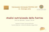 Valorizzazione Nutrizionale FONTINA DOP St. Christophe (AO) · 2014-12-15 · Colesterolo Composizione acidi grassi Acidi grassi omega 3 e 6 CLA per calcolo Vitamine A B1 B2 B6 B12