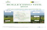BOLLETTINO VITE 2019 - Cratia · Realizzato nell’ambito del Programma di Sviluppo Rurale per l’Umbria - misura 16 – sottomisura 16.1 del PSR Umbria 2014-2020, ai sensi dell’Avviso