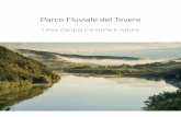 Parco Fluviale del Tevere - Turismo Baschi del Pa… · proprio per il ruolo strategico dell’area e del fiume. Alcuni scrittori definirono il Tevere come Mercator placidissimus