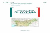 Newsletter Slovenia - Agosto 2013 - infoMercatiEsteri · ICE - Agenzia per la promozione all’estero e l’internazionalizzazione delle imprese italiane Ufficio di Lubiana NEWSLETTER