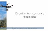 I Droni in Agricoltura di Precisione · Regolamentazione uso droni per “lavoro” • VLOS -volo “a vista” • “Geofence” -V150: h 150 m, R 500 m • Rispetto del Regolamento