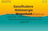 Gassificatore Holzenergie Una soluzione efficiente ed ...blog.piasco.net/public/dblog/Progetto_Frassino.pdfL’impianto di Wegscheid ha 23.000 ore di funzionamento e una produttività