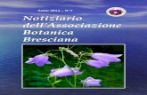 Anno 2014 – N°7 - Associazione Botanica Bresciana...Nuovi arrivi in Biblioteca.....44 Avvertenza.....44 Due sonetti di Angelo 2 EDITORIALE Fra le attività principali del nostro