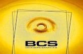 BCS-25.02 · certificate . certificate din certificate iso certificate awwa c *015 certificate certificate . title: bcs-25.02.2020 created date: 2/25/2020 9:36:30 pm ...