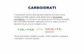 CARBOIDRATI - Didattica delle Scienze · 2017-10-18 · I carboidrati (anche detti genericamente zuccheri) sono sintetizzati dalle piante verdi attraverso la fotosintesi clorofilliana