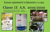 Scienze: esperimenti in laboratorio e a casa Classe 1E A.S ... · Scienze: esperimenti in laboratorio e a casa Classe 1 E A.S. 2019/2020 ICS Alda Merini, già ICS Via Pareto –Milano