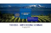 TREVISO – WIPO ROVING SEMINAR. Zuccato_Prosecco.pdf · FASE 3: appello • Il Consorzio ha basato la propria difesa sulla protezione della Dop Prosecco in Moldavia ai sensi dell’accordo