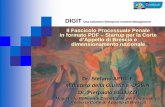 Il Fascicolo Processuale Penale in formato PDF – Startup ...archive.forumpa.it/forumpa2006/convegni/relazioni/... · • E’ in fase di Startup a Cremona il Centro Digit Distrettuale