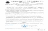  · 2018-04-30 · DOCUMENTO DI ATTESTAZIONE A. Il Segretario Comunale, Dott. Piero LARI, presso il COMUNE DI CARRODANO, ha effettuato, ai sensi dell'art. 14, co. 4, lett. g), del