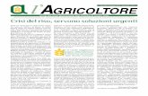 Mensile dell’Unione Interprovinciale degli Agricoltori di Vercelli e … · 2017-11-29 · Crisi del riso, servono soluzioni urgenti Spira un vento nuovo sulle nostre risaie, un