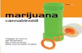 stammi bene. marijuana · 2019-01-31 · stammi bene. marijuana cannabinoidi Viaggio al centro del fenomeno pi controverso della storia delle droghe cannabis_nofoglia.indd 1 15-10-2011