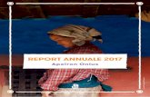 REPORT ANNUALE 2017 · Responsabile dell’attività di Apeiron in Italia Segue l’aspetto della comunicazione e raccolta fondi, principalmente da individui, e si dedica all’organizzazione