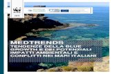 MedTrends Italy Executive Summary · Layout and Infografica: Tangerine Lab GIS e elaborazione Mappe: Shoreline s.r.l. 1 1 SINTESI I mari Italiani sono sempre più soggetti ad una