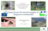 Esperienze di monitoraggio in Regione Lombardia · Esperienze di monitoraggio in Regione Lombardia ROMA 14 dicembre 2012 Antonio Tagliaferri Convegno: “La conservazione della natura