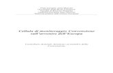 Cellula di monitoraggio Convenzione sull’avvenire dell’Europa€¦ · Cellula di monitoraggio Convenzione sull’avvenire dell’Europa ... In tema di architettura istituzionale