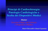 Principi di Cardiochirurgia: Patologie Cardiologiche e ...€¦ · Audit clinico EBM Gestione ... Furosemide: dose massima giornaliera mg Degenza 2006 550 Dimissione ospedaliera 2006