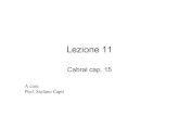 Lezione 11 - My LIUCmy.liuc.it/MatSup/2009/F83221/S.Capri Lezione 11.pdf · 2009-11-06 · Lezione 11 Cabral cap. 15 A cura . Prof. Stefano Capri. ENTRATA, USCITA E COMPORTAMENTO
