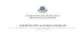 STATUTO COMUNALE - MascaliIl Consiglio Comunale adegua i contenuti dello Statuto al processo di evoluzione della società civile, assicurando costante rispondenza tra la normativa