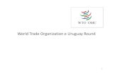World TradeOrganizatione Uruguay RoundCommercio) è l’organizzazione internazionale che detta le regole del commercio tra le nazioni • Lo scopo del Wto è fondamentalmente quello