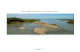 Monitoraggio dei corpi idrici della regione Molise · 2019-12-11 · macroinvertebrati macrofite diatomee bentoniche fauna ittica stato star_icmi classe rqe_ibmr classe icmi classe