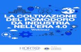 HORTA-WEBINAR Pomodoro · Title: HORTA-WEBINAR Pomodoro Created Date: 6/4/2020 12:03:52 PM