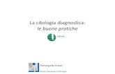 La citologia diagnostica: le buone pratiche · PDF file Impiego della citologia diagnostica Nel primo inquadramento di condizioni patologiche accertate ma di natura ancora da determinare