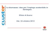 Le biomasse: idee per l’impiego sostenibile in Sardegna ...sardegnaagricoltura.it/documenti/14_43_20140203111014.pdf · Le Biomasse Con il termine biomassa si definisce una categoria