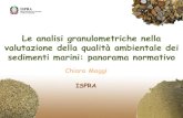 Le analisi granulometriche nella valutazione della qualità … · 2017. 2. 7. · Chiara Maggi ISPRA Le analisi granulometriche nella valutazione della qualità ambientale dei sedimenti