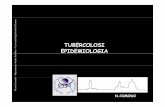 epidemiologia tubercolosi x corso micobatteriologiamyco09.pbworks.com/f/Comodo09-epidemiologia.pdf · Swaziland 1% 2% n to Sanità Pub Russian Federatn EUR* India 5 Malawi o 5% –