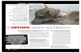 Intervista di Antonio Monaco L’orrore: nero su bianco€¦ · Perché non ci indigniamo per il maltrattamento degli animali? INCHIESTA Maltrattamenti animali Un anno di terrore