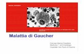 Dott.ssa Marina Cavaliere Medicina I ed Ematologia Ospedale San … · 2019. 1. 16. · 1. Gaucher Registry, 2006 Annual Report 45% Da 60 a