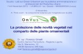 La protezione delle novità vegetali nel - ONVUS tutela... · Protezione solo per piante a propagazione vegetativa ad esclusione dei tuberi. Impedisce a terzi la moltiplicazione,