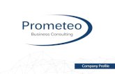 PROMETEO company profile · Prometeo è al fianco di imprese, enti intermedi e altri stakeholders, anche informa aggregata (reti, consorzi, clusters) nella definizione e realizzazione