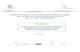 Report Nazionale sui Programmi di Monitoraggio per la ...€¦ · Centrale eolica off-shore Golfo di Manfredonia (FG) 335 IMPIANTO EOLICO Centrale eolica off-shore per la produzione
