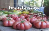 L˚ ˝icett˚ Monteros€¦ · Insalata rosa INGREDIENTI • 1 Monterosa • Frutta secca spezzettata • Prezzemolo tritato • Olio extravergine d’oliva • Sale in fiocchi PREPARAZIONE