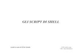 GLI SCRIPT DI SHELLreting/Scriptmod.pdf · Script che esegue il comando ls -l  dove  puo' essere un insieme ( ad esempio *.c ), listando anche il