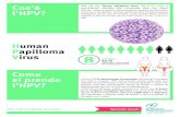 FUV 019 HPVfaq 07V Adulti - Fondazione Umberto Veronesi€¦ · Papilloma Virus Come si prende l’HPV? Il virus HPV si trasmette per via sessuale, attraverso il contatto con cute