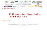 Bilancio Sociale 2018/19 · 2020. 1. 14. · CSIC857002 Bilancio Sociale 2018/19 Dirigente Scolastico Dott.ssa Rosanna Rizzo E-mail: csic857002@istruzione.it - Tel. - Fax 0984 471008