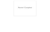 Numeri Complessi - r.unitn.itNumeri complessi Piano complesso o piano di Argand-Gauss Karl Friederich Gauss, (Braunschweig, 1777 – Gottinga,1855) Jean-Robert Argand (Ginevra 1768
