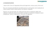 CONSIDERAZIONI · Alessandro Benassi Dirigente Regionale Direzione Ambiente Regione Veneto . Title: Diapositiva 1 Author: Administrator Created Date: 9/16/2013 9:43:57 AM ...