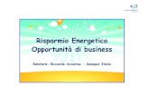 Risparmio Energetico Opportunità di business ACCARINO... · 2017. 4. 20. · Piano di Azione Nazionale (PAN) Il Piano d‛ azione Nazionale per l‛efficienza energetica previsto